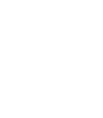 Access consciousness