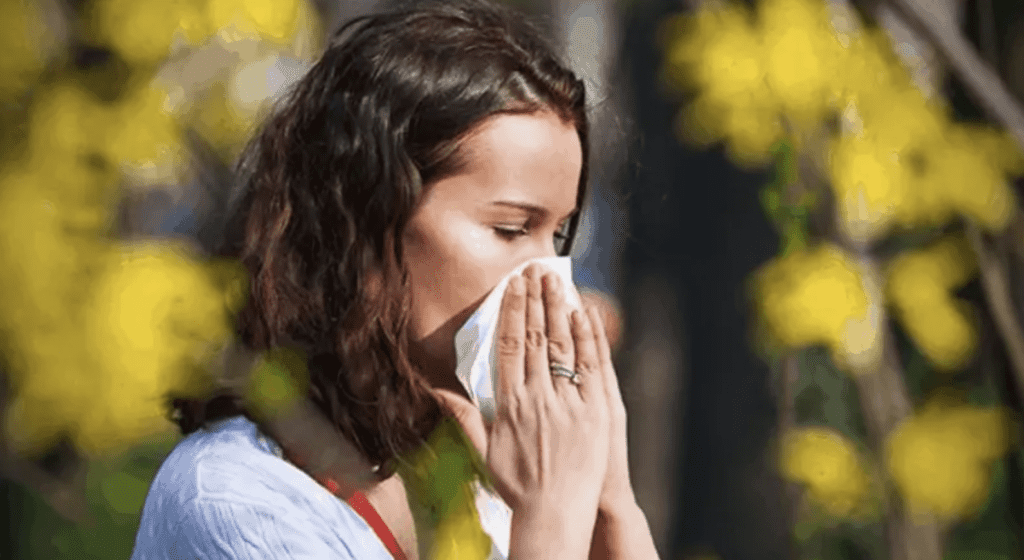 Rhume des foins (rhinite allergique) : énergie et homéopathie