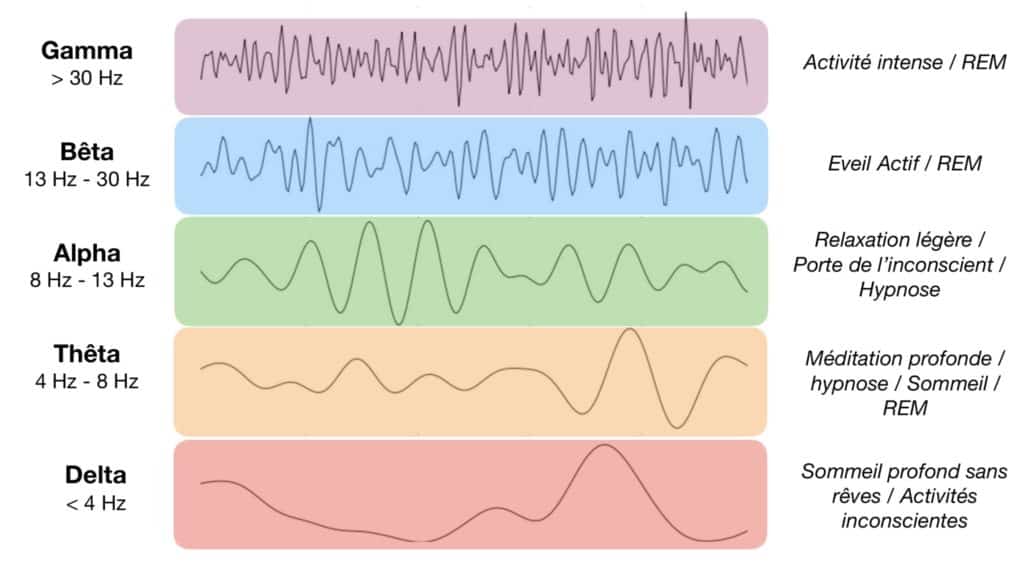 état de conscience Un électroencéphalographe mesure les ondes cérébrales de différentes fréquences dans le cerveau